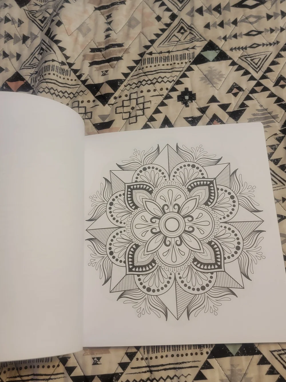The Art of Mandala Adult Coloring Book by Jason Hamilton - Purple Cover